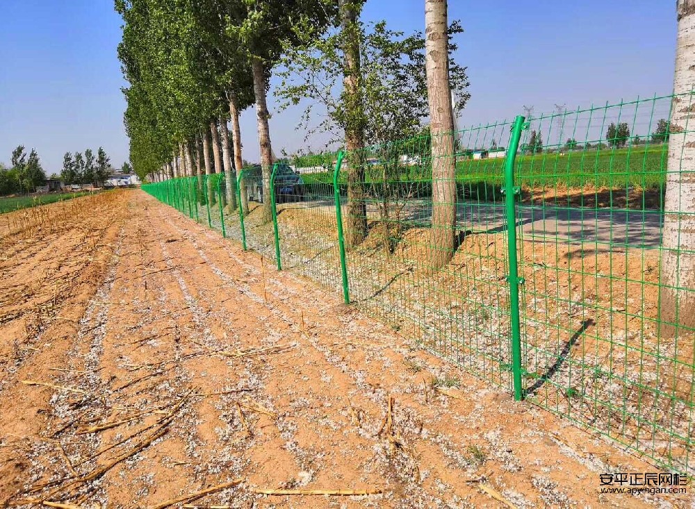 双边护栏网图片