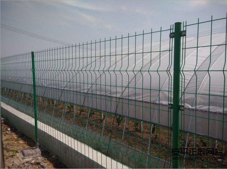 双边护栏网图片