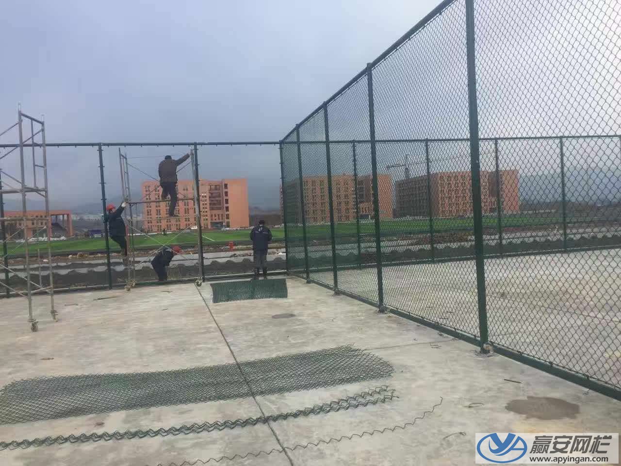 球场围栏价格
