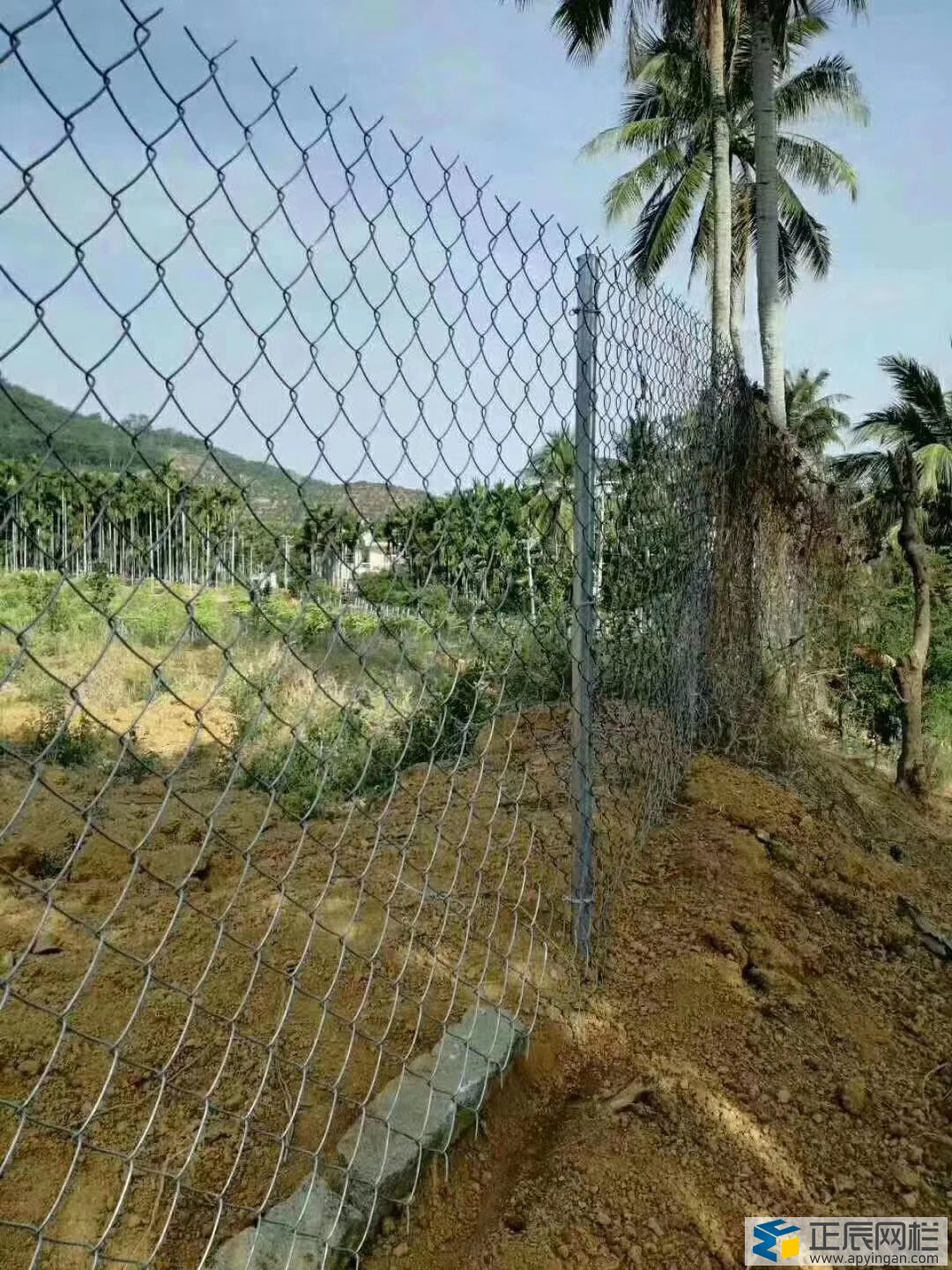 养殖勾花网护栏