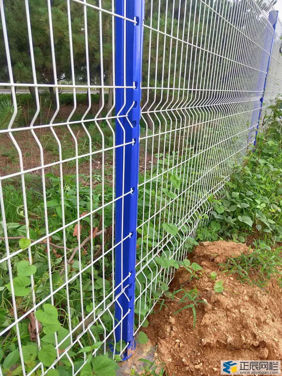 山东桃型柱护栏网