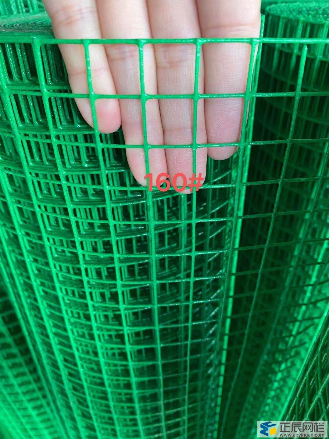 养鸡护栏网