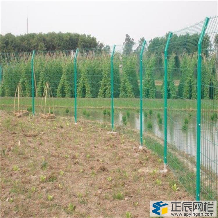 河道护栏网